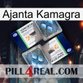 Ajanta Kamagra viagra5